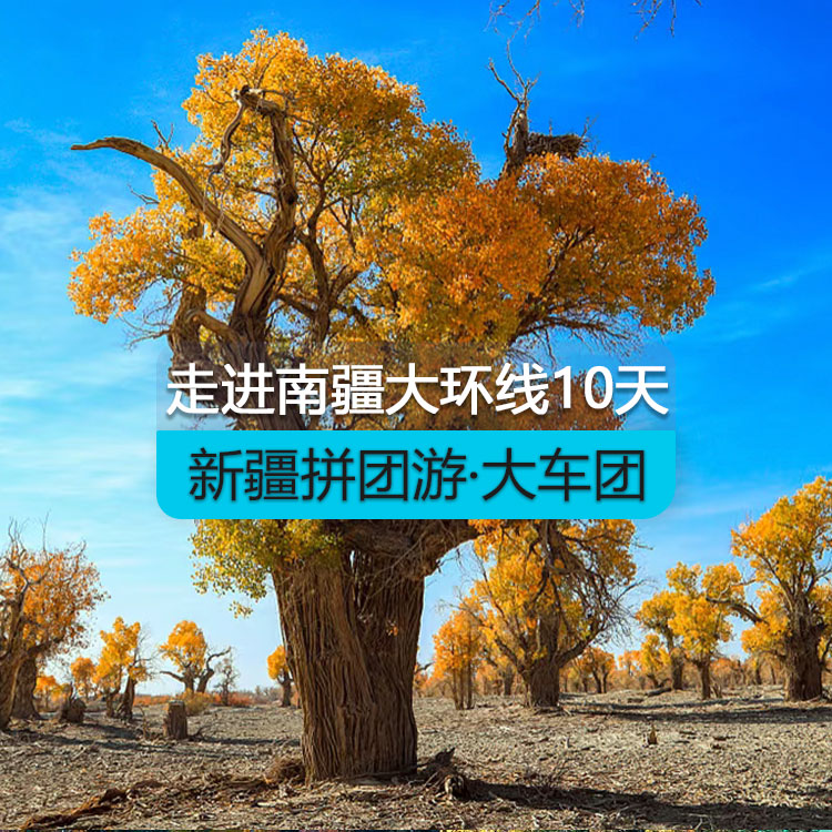 【新疆拼團(tuán)游·大車團(tuán)】走近南疆大環(huán)線10日游（景點包含：博斯騰湖、輪臺胡楊林、359旅紀(jì)念館、沙漠公路、莎車?yán)铣?、白沙湖、喀拉庫勒湖、開城儀式、達(dá)瓦昆沙漠、天山托木爾大峽谷）線路編號：11447