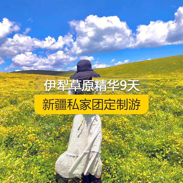 【新疆·北疆·私家團(tuán)定制游·9天8晚】北疆伊犁精華純玩9日游（景點(diǎn)包含：獨(dú)山子大峽谷+賽里木湖+解憂公主薰衣草農(nóng)場(chǎng)+喀贊其民俗區(qū)+伊昭公路+昭蘇濕地公園+夏塔古道+喀拉峻+特克斯八卦城+那拉提空中草原+巴音布魯克天鵝湖+獨(dú)庫(kù)公路+唐布拉百里畫廊+S101省道+國(guó)際大巴扎）產(chǎn)品編號(hào) : 11336