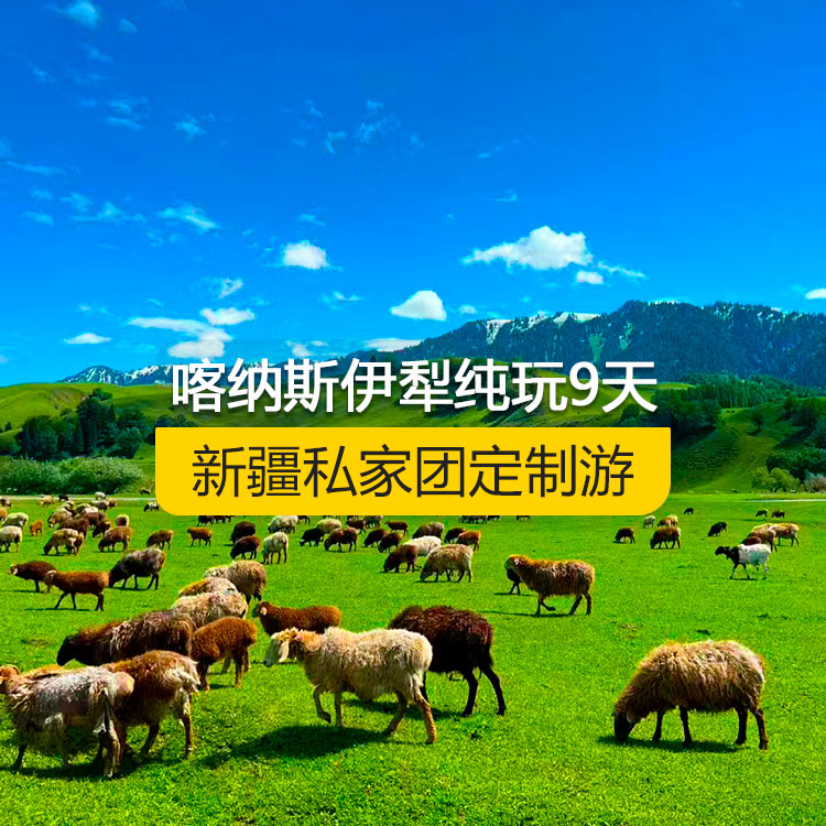 【新疆·北疆·私家團(tuán)定制游·9天8晚】北疆喀納斯伊犁純玩9日游(景點(diǎn)包含:S21沙漠公路+五彩灘+喀納斯+禾木村+烏爾禾魔鬼城+賽里木湖+果子溝(途觀)+伊犁那拉提空中草原+巴音布魯克草原+獨(dú)庫(kù)公路+唐布拉+獨(dú)山子大峽谷+國(guó)際大巴扎)產(chǎn)品編號(hào) : 11339