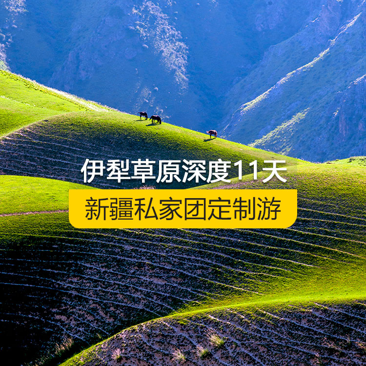 【新疆·北疆·私家團(tuán)定制游·11天10晚】北疆伊犁草原全景深度純玩11日游（景點(diǎn)包含：獨(dú)山子大峽谷+賽里木湖+解憂公主薰衣草農(nóng)場(chǎng)+伊昭公路+昭蘇濕地公園天馬浴河+夏塔古道+昭蘇油菜花（途觀）+瓊庫(kù)什臺(tái)村+喀拉峻+特克斯八卦城+庫(kù)爾德寧+恰西景區(qū)+那拉提空中草原+巴音布魯克+獨(dú)庫(kù)公路+唐布拉百里畫廊+S101省道丹霞風(fēng)光+國(guó)際大巴扎）產(chǎn)品編號(hào) : 11334