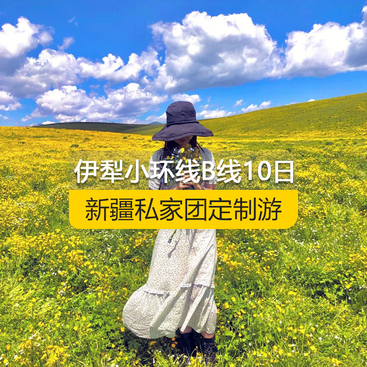 【新疆私家團定制游】北疆伊犁小環(huán)線純玩B線10日游（烏魯木齊起止）產(chǎn)品編號 : 11336